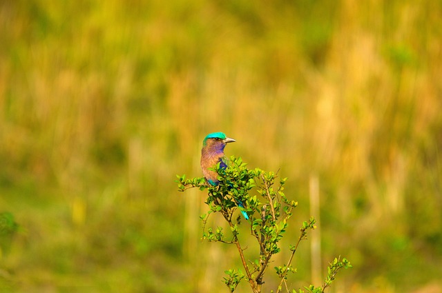 Foto do arquivo: fornecida por 【resultado da loteria federal 5707】