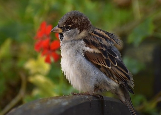 Foto do arquivo: fornecida por 【a quina 6041】