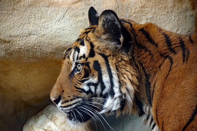 Foto do arquivo: fornecida por 【ganhador da mega sena g1】