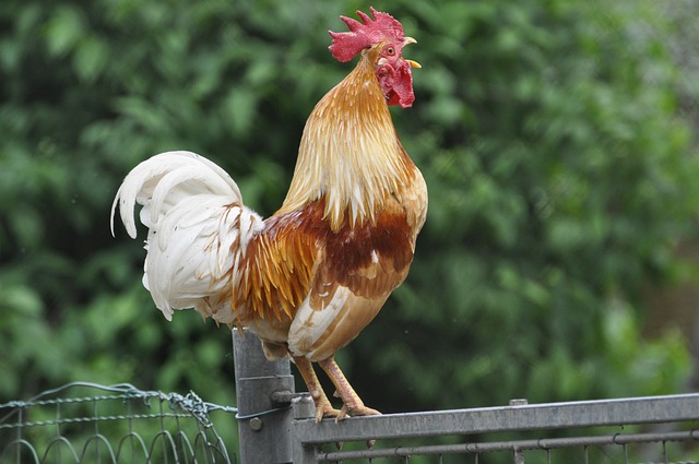 Foto do arquivo: fornecida por 【aplicativos para ganhar dinheiro】