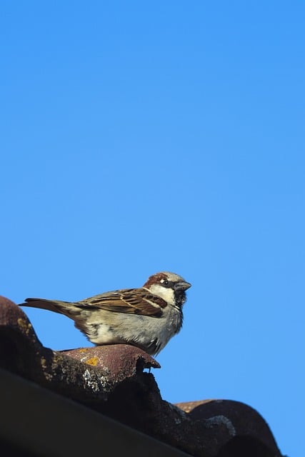 Foto do arquivo: fornecida por 【melhores dezenas da quina】