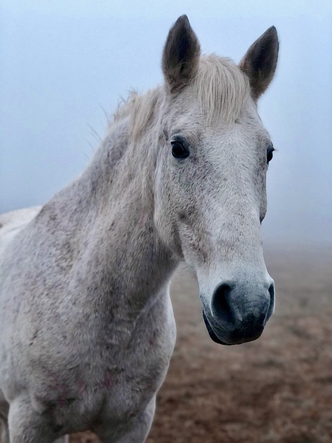 Foto do arquivo: fornecida por 【frankcasino】