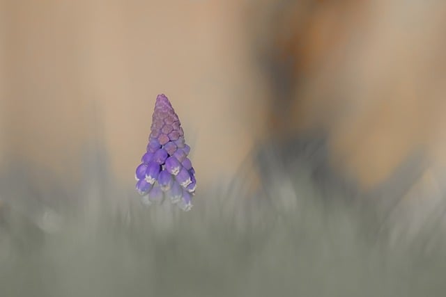 Foto do arquivo: fornecida por 【Sistema que compensa inscrição instantânea pelo pix】