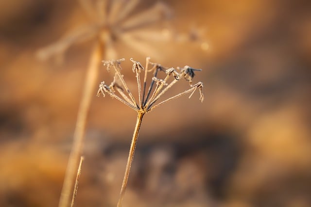 Foto do arquivo: fornecida por 【beat365】