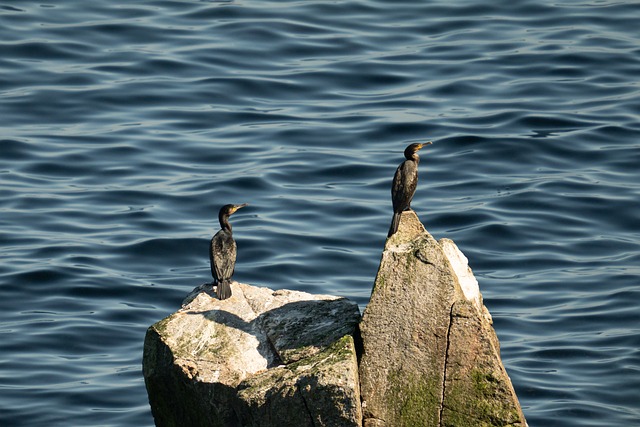 Foto do arquivo: fornecida por 【resultado lotofácil 2348】