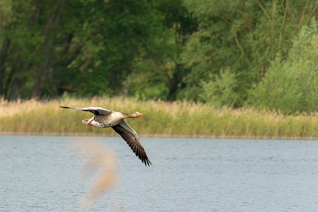 Foto do arquivo: fornecida por 【agen878 slot】