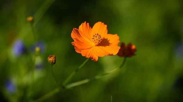 Foto do arquivo: fornecida por 【resultado mega sena 1793】