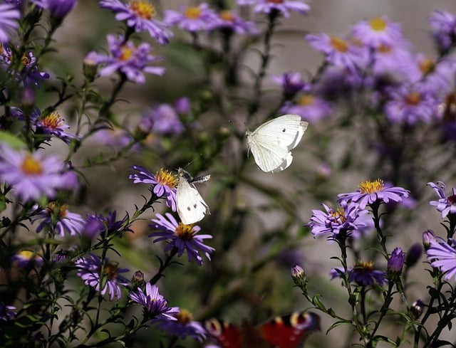 Foto do arquivo: fornecida por 【quanto tempo demora para cair o primeiro saque da blaze】