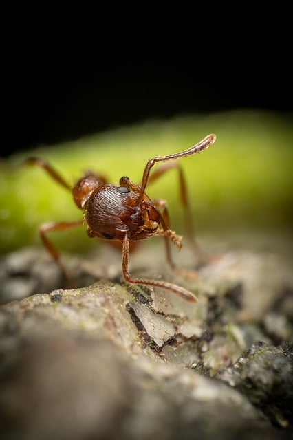 Foto do arquivo: fornecida por 【665bet】