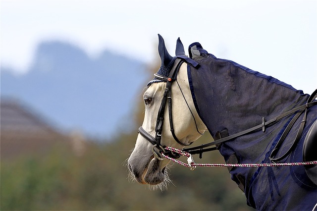 Foto do arquivo: fornecida por 【bônus de cassino sem depósito】