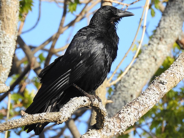 Foto do arquivo: fornecida por 【OLEYBET】