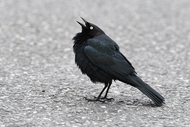 Foto do arquivo: fornecida por 【resultado da loteria federal de sabado 18 horas】