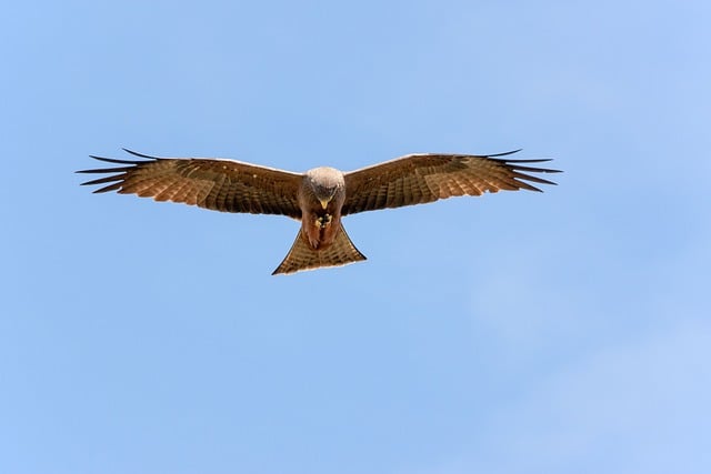 Foto do arquivo: fornecida por 【resultado para todos bahia de hoje】