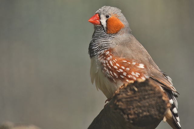 Foto do arquivo: fornecida por 【mega sena bolao da caixa resultado】