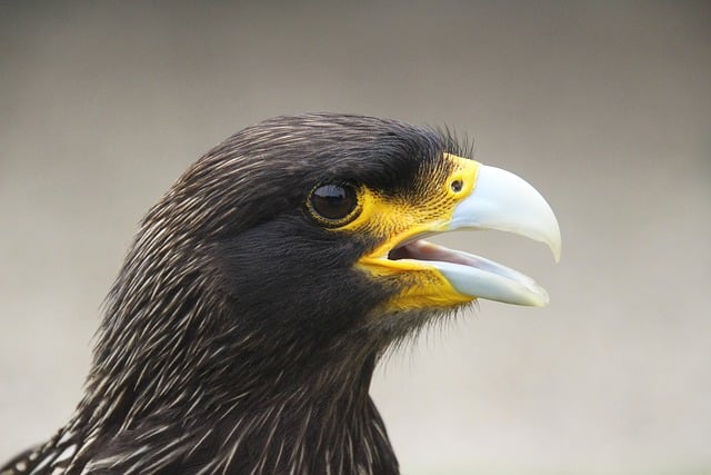 Foto do arquivo: fornecida por 【jogo mais jogado em 2022】