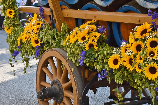 quina de sao joao de 2015