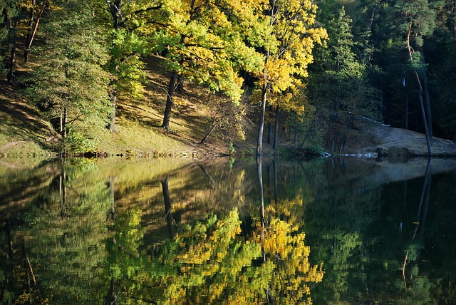 bonus slotpark