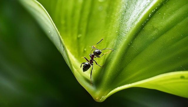 Foto do arquivo: fornecida por 【resultado da mega sena desta sexta feira】