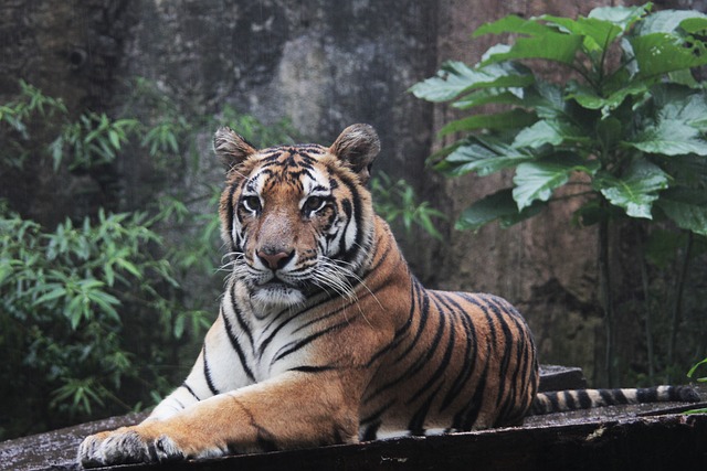 Foto do arquivo: fornecida por 【resultado da lotofácil concurso 1290】