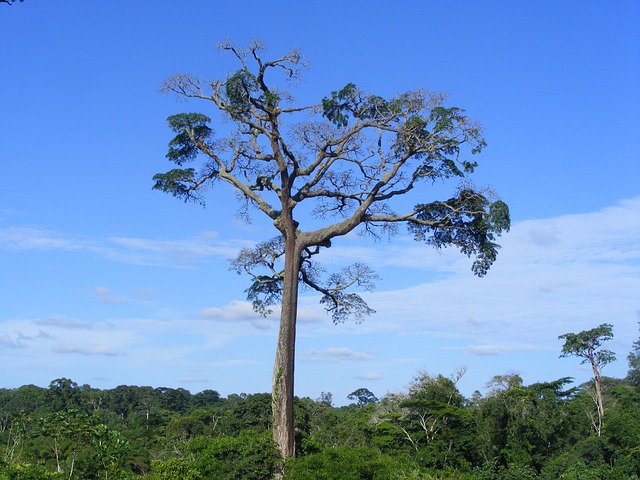 palpite do jogo de bicho