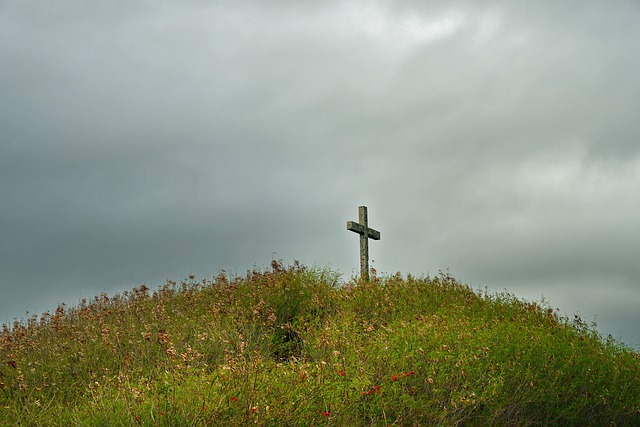 betano site