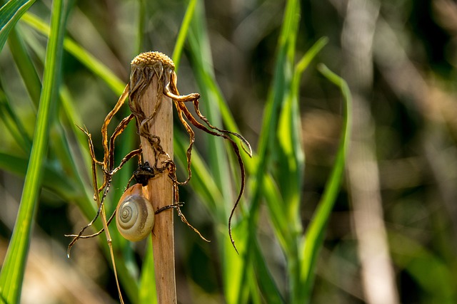 Foto do arquivo: fornecida por 【Ganhadores da Lotofácil sorteados】