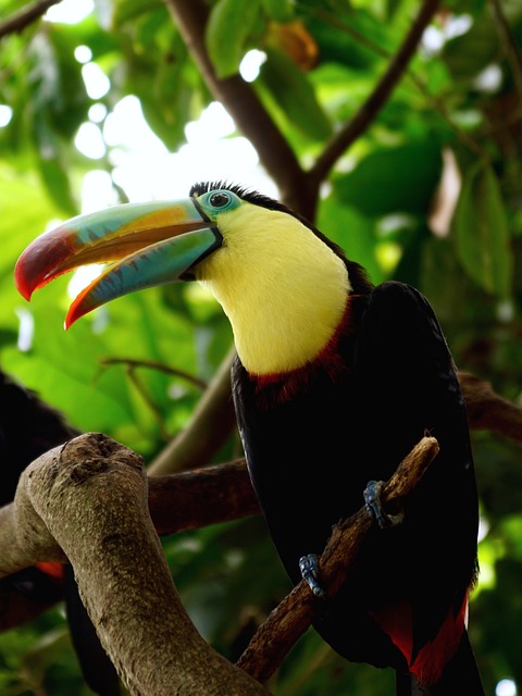 Foto do arquivo: fornecida por 【quina de hoje lotofácil de hoje】