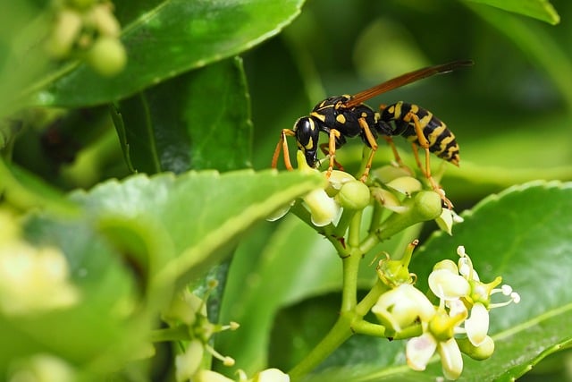 Foto do arquivo: fornecida por 【gober368】