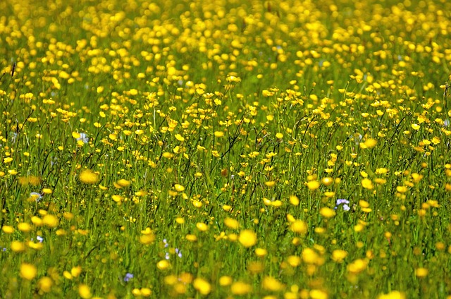 Foto do arquivo: fornecida por 【pixe】