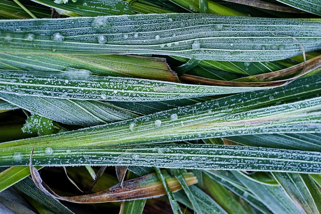 Foto do arquivo: fornecida por 【Empréstimo imediato para negativado via pix】