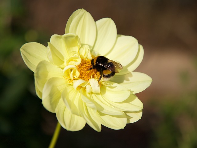 Foto do arquivo: fornecida por 【jbo680】