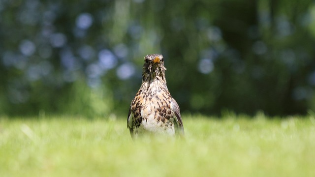 Foto do arquivo: fornecida por 【resultado do jogo do bicho das 18 horas ontem】