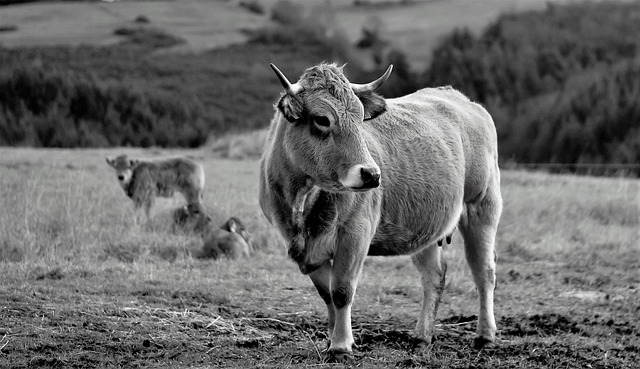 Crédito rápido e seguro no pix para negativados