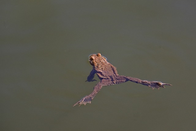 Foto do arquivo: fornecida por 【Resultado do concurso de Quina do último sorteio】