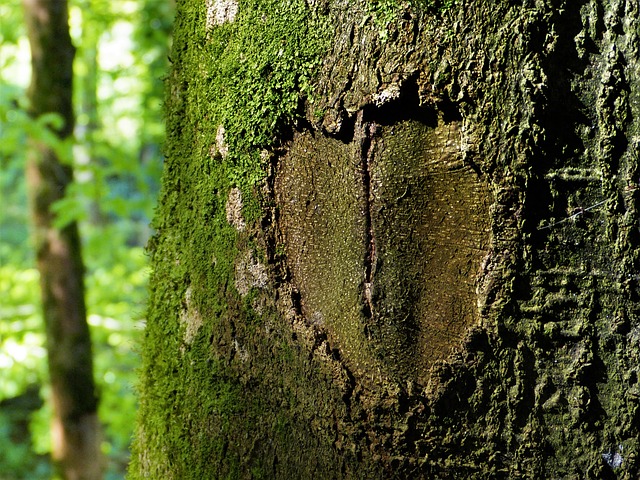 Foto do arquivo: fornecida por 【click jogos de truco】