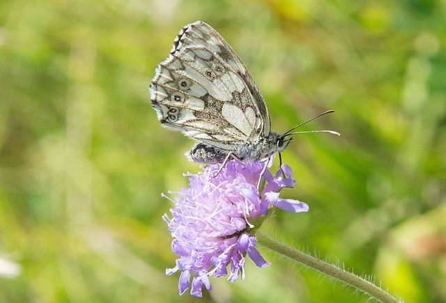 Foto do arquivo: fornecida por 【bets365】