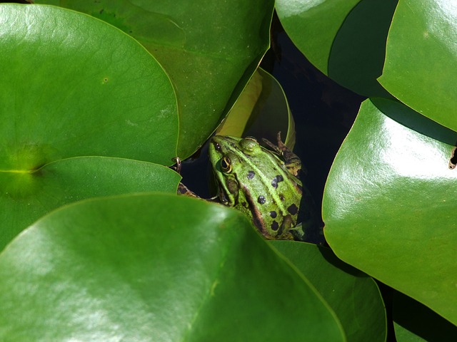 Foto do arquivo: fornecida por 【brazino777 login】