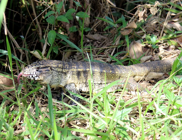 betão plataforma cassino