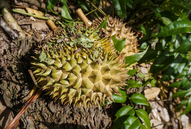 gostaria de saber o resultado do jogo de bicho