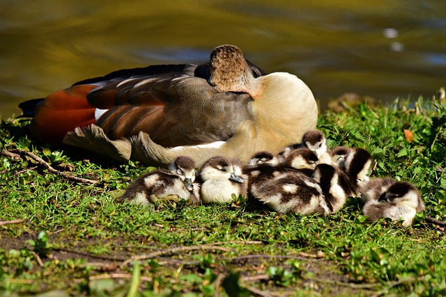 Foto do arquivo: fornecida por 【betano brasil login】