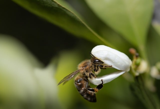 Foto do arquivo: fornecida por 【loteria dacaxa】