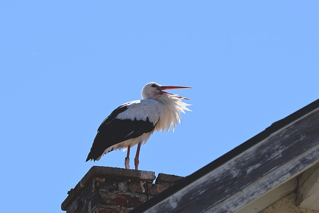 Foto do arquivo: fornecida por 【resultado da quina do dia 6 de maio】