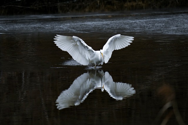 Foto do arquivo: fornecida por 【lodi777 ph】