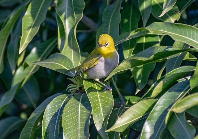 Foto do arquivo: fornecida por 【pok】