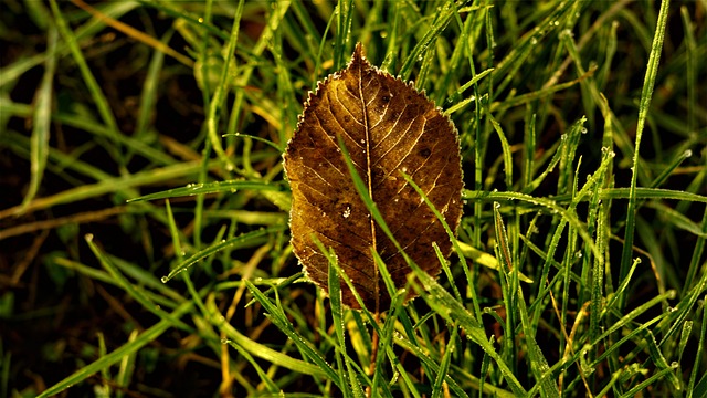 Foto do arquivo: fornecida por 【bet365 não abre iphone】