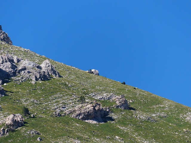 plataforma pagando no cadastro