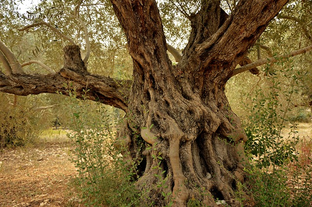 janela de quina de vidro