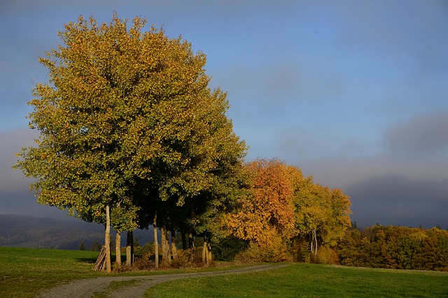 orense equador