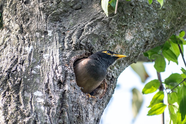 Foto do arquivo: fornecida por 【resultado da mega sena 2486 de hoje】