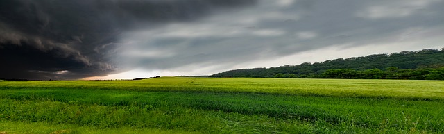 Foto do arquivo: fornecida por 【resultado da lotofácil concurso 1333】